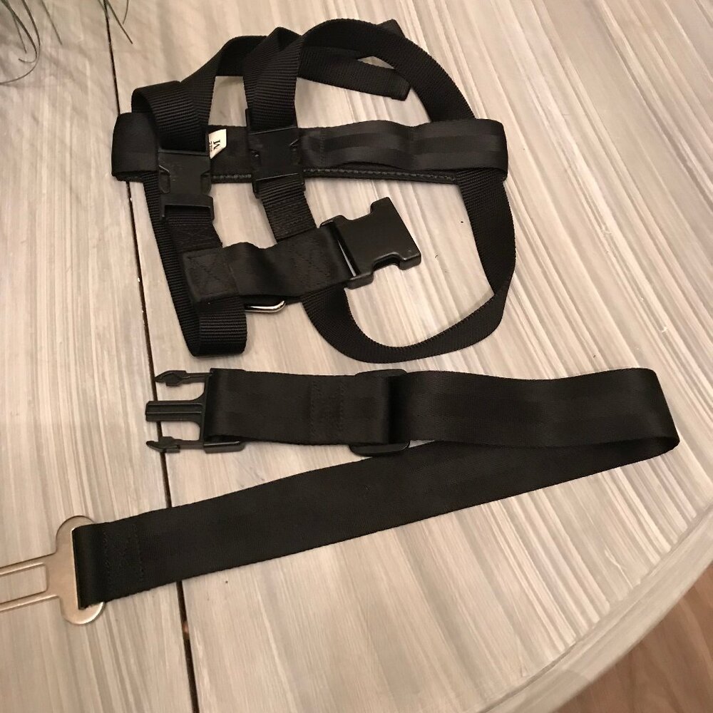 Seat Belt Harness For Dog Size Medium